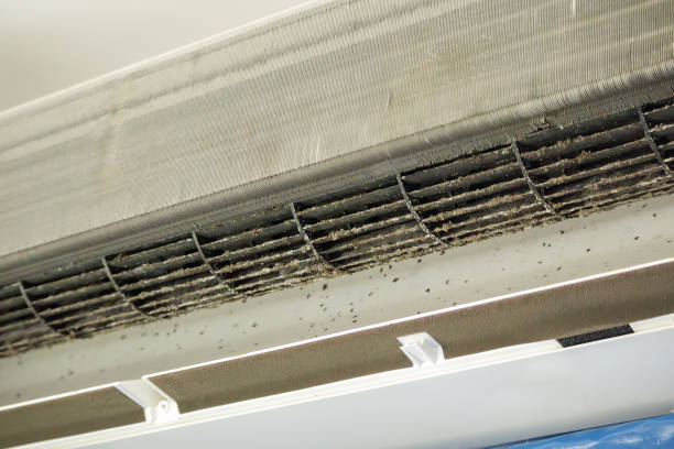 Best Professional Duct Cleaning Services  in Itta Bena, MS